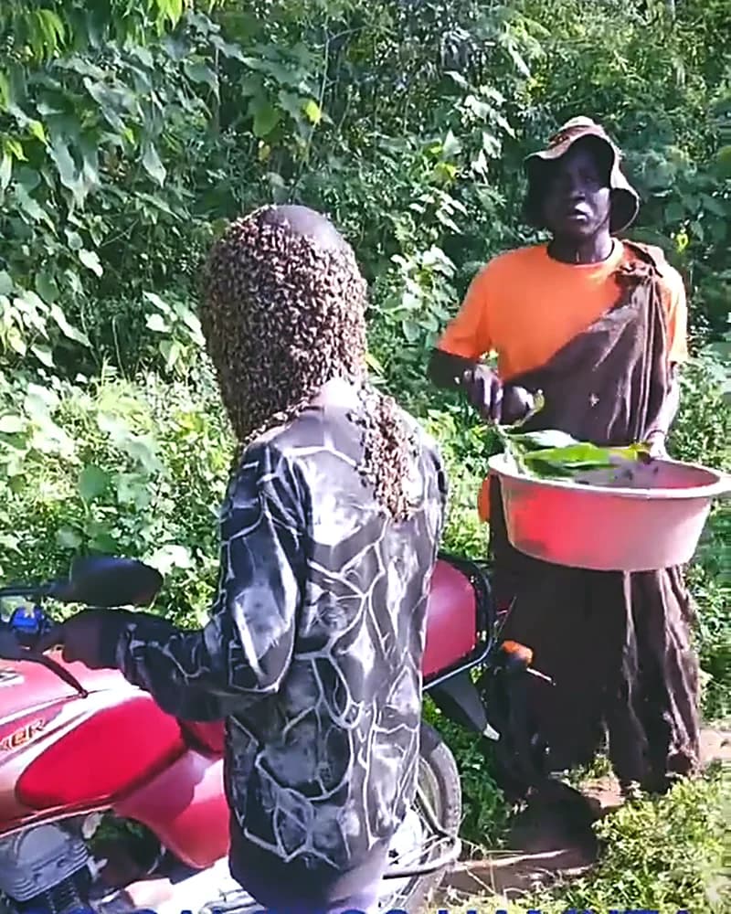 Dr Salongo Hamuza, Professional Traditional Healer