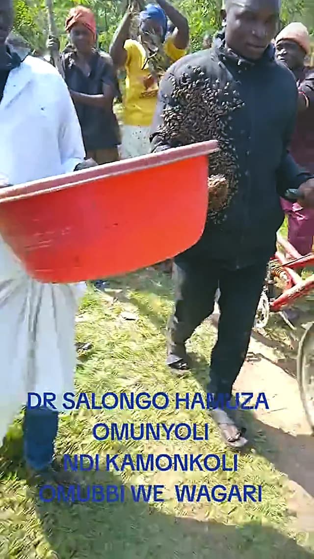 A prepared basin carried by hand through a village compound