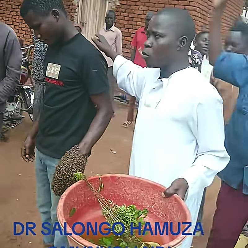 Close view of freshly cut green herbs prepared in a red basin