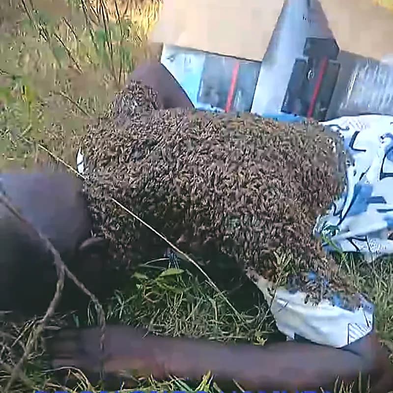 A close view of the traditional work being carried out on the ground